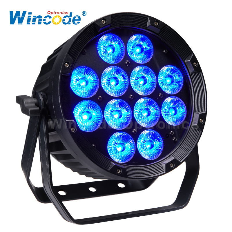 12×15W 5 in 1 outdoor LED Par Light